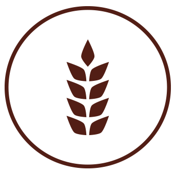 ZBOŻE alergen zboża - gluten